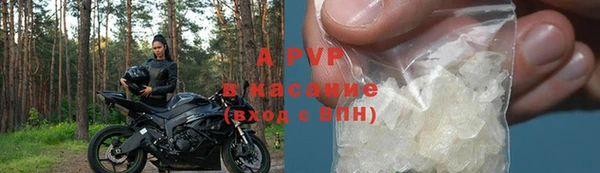 стаф Лабытнанги