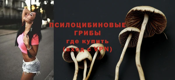 героин Лагань