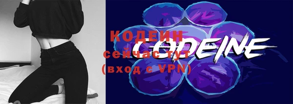стаф Лабытнанги