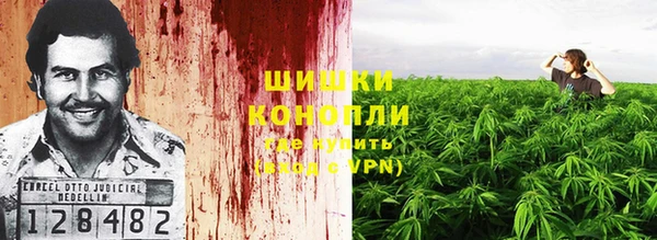 стаф Лабытнанги