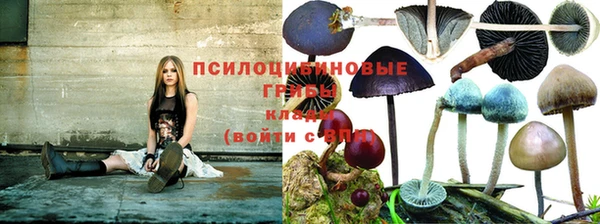 стаф Лабытнанги